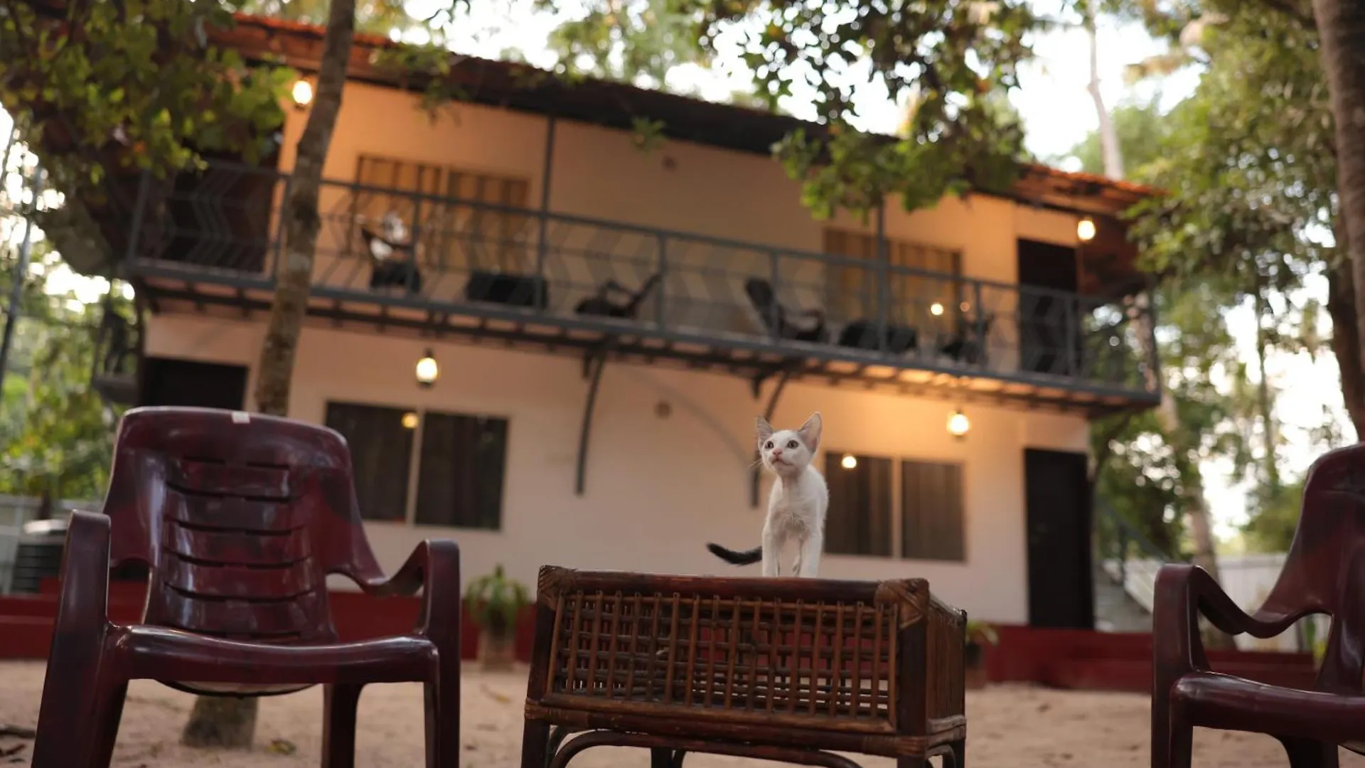 Dream Catcher Beach Home Marari Mararikulam 0*,  India