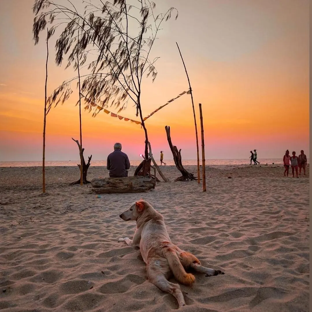 Dream Catcher Beach Home Marari Mararikulam Homestay